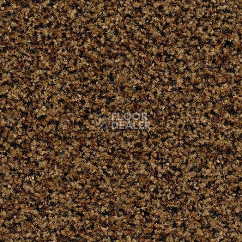 Грязезащитные покрытия Forbo Coral Brush 5716 Masala Brown фото 1 | FLOORDEALER